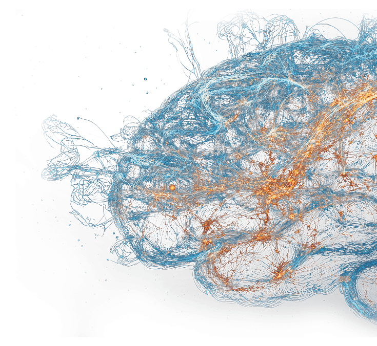 Brain image